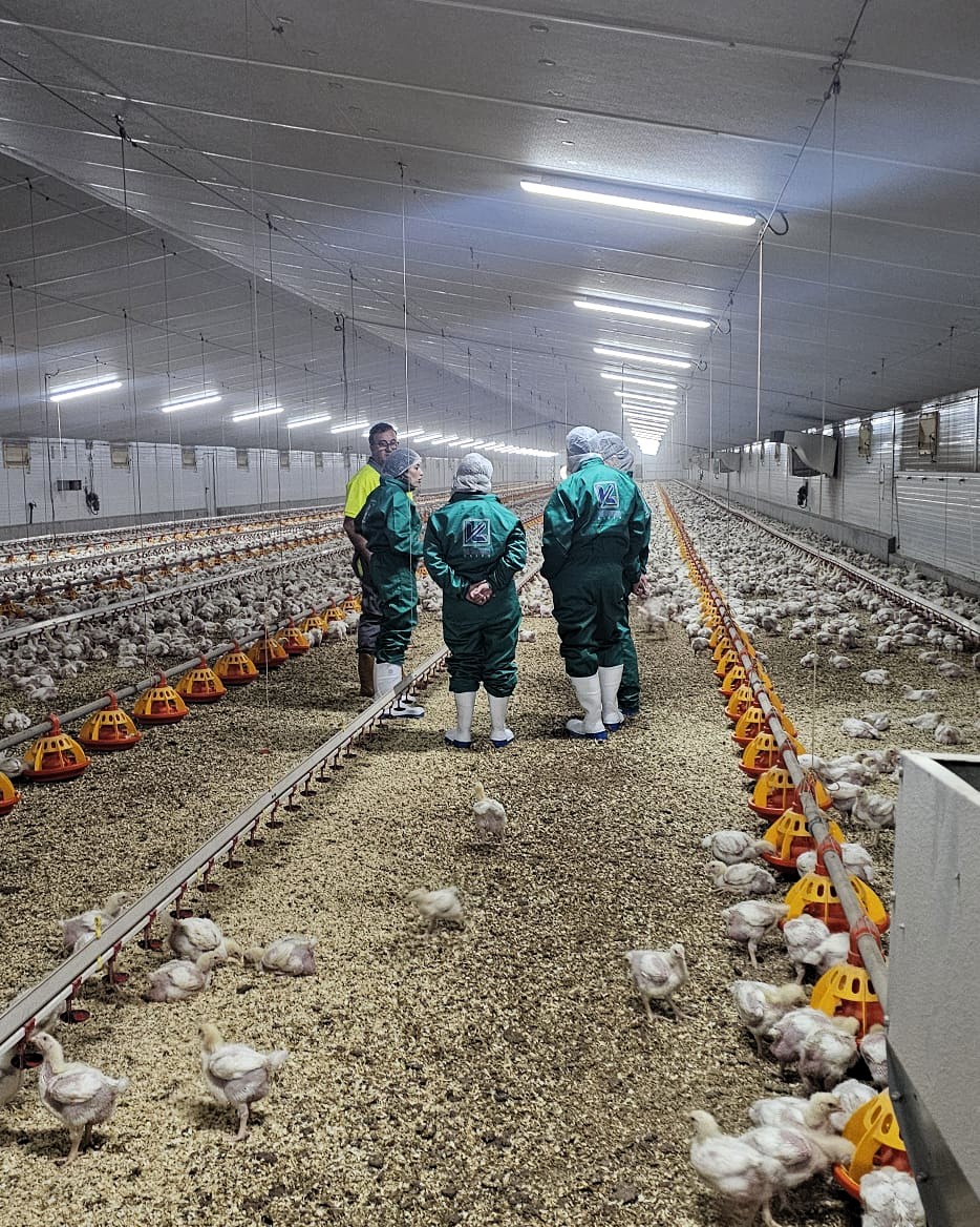 Desde AVIANZA hemos acompañado al <a href="/gobmapa/">Ministerio de Agricultura, Pesca y Alimentación</a>  en #Valencia para mostrar la realidad productiva y los retos del #sectorcárnicoavícola, reforzando el diálogo entre #industria y #Administración.

avianza.org/avianza-y-el-m…