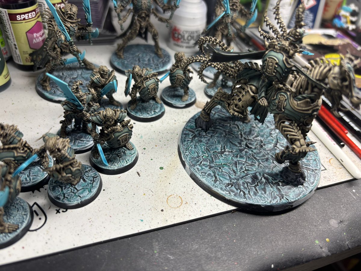 Ceri Robson tweet media