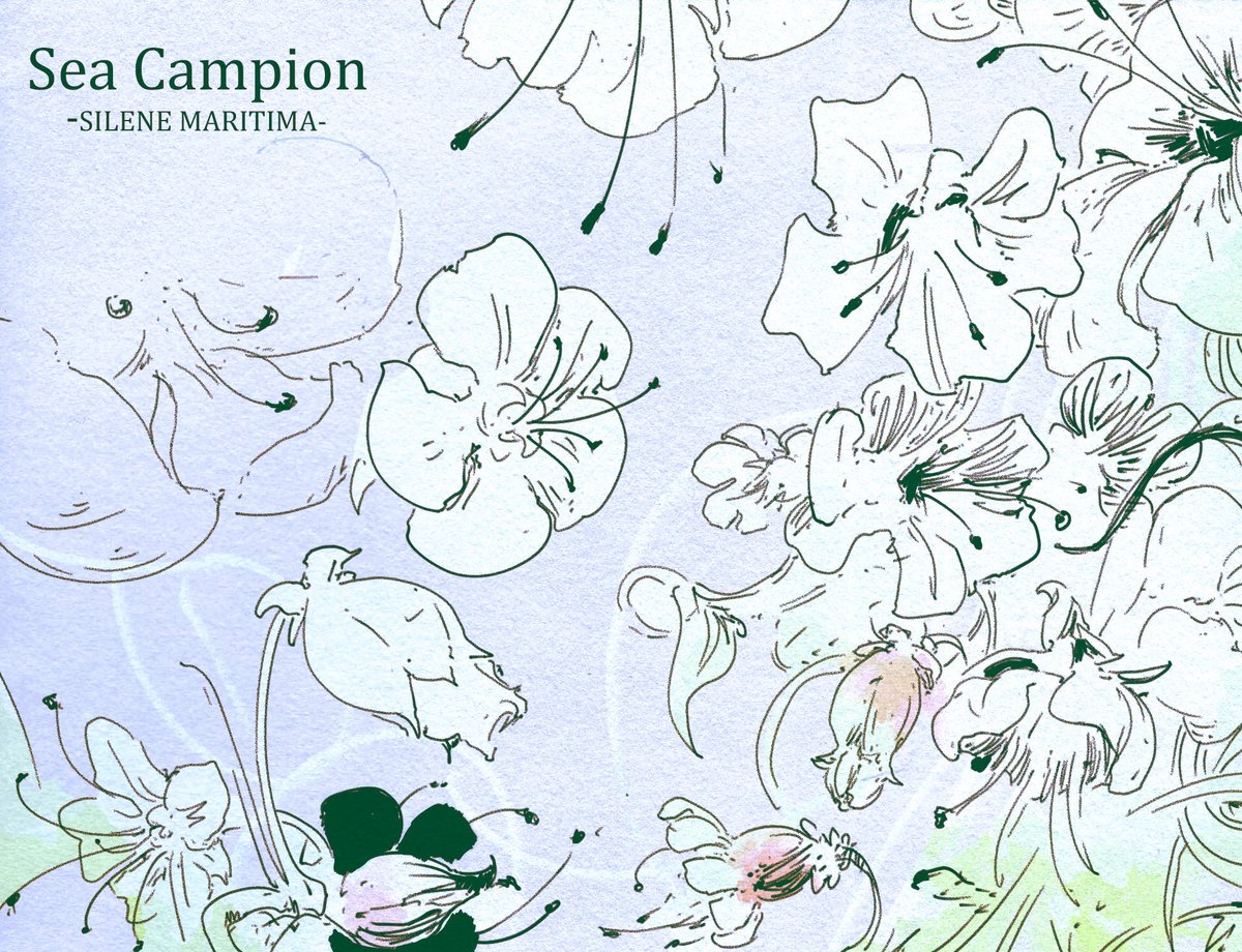 Dale Fraser tweet media