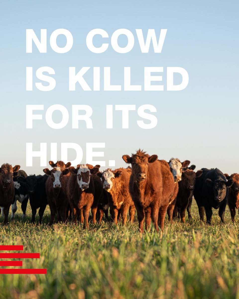 Real Leather. Stay Different. tweet media