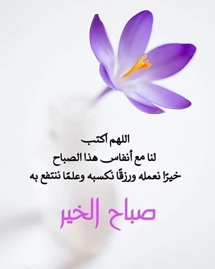 صباح الخير 🌺