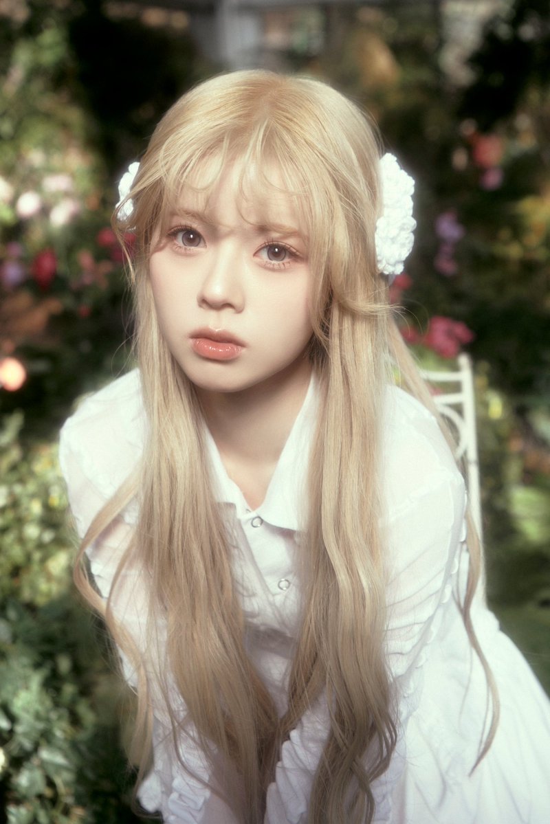 おすし (@k28092028) / Posts / X