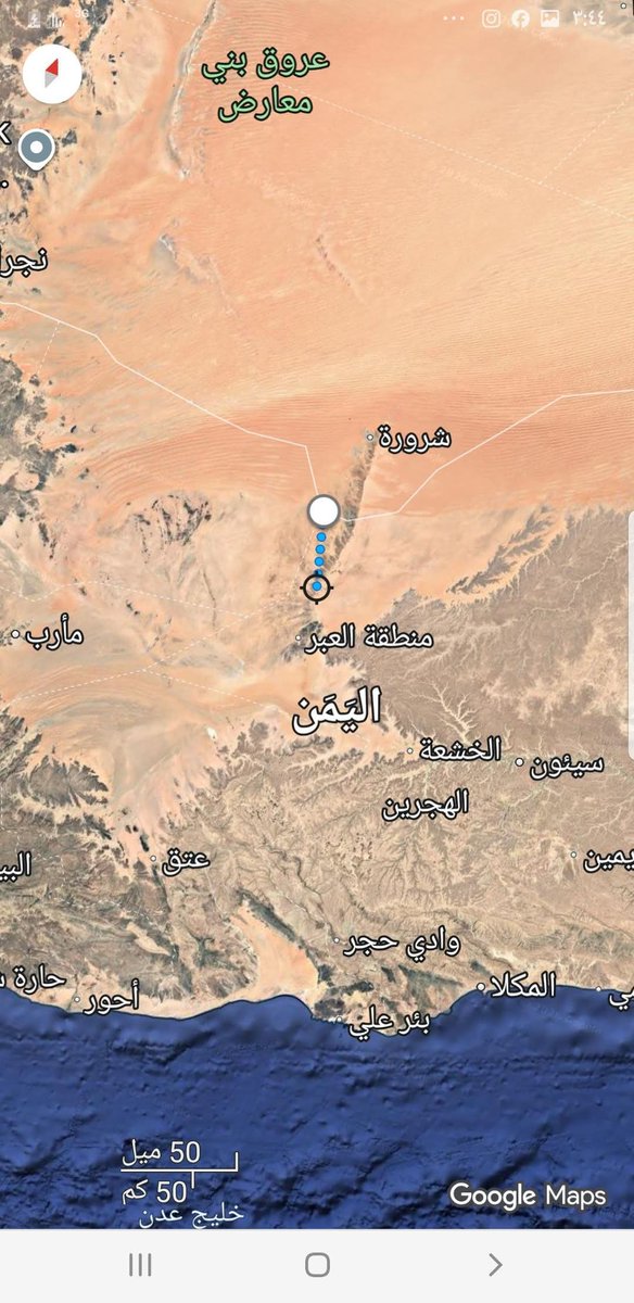 هاني مسهور tweet media