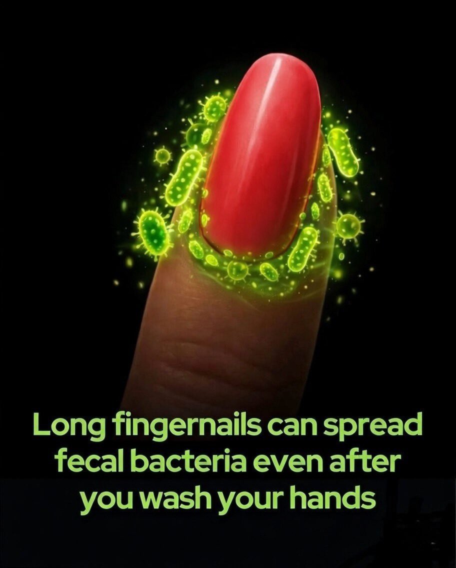 Most people wash their hands, yet one of the most contaminated parts is often missed.

There is a reason surgeons, food handlers, and healthcare workers are discouraged from wearing long or artificial nails. While soap and water easily clean the skin, they struggle to reach the