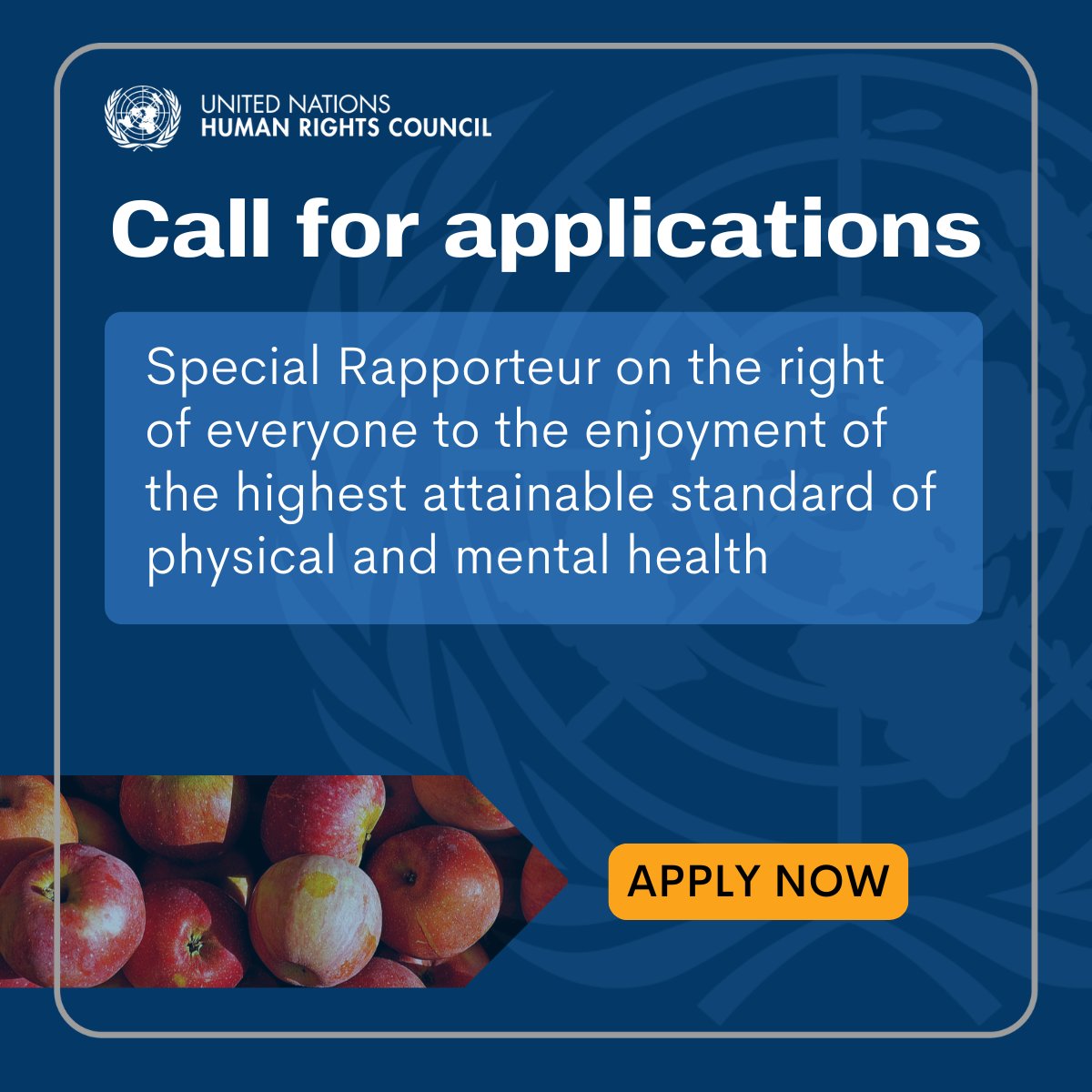 UN Human Rights Council tweet media