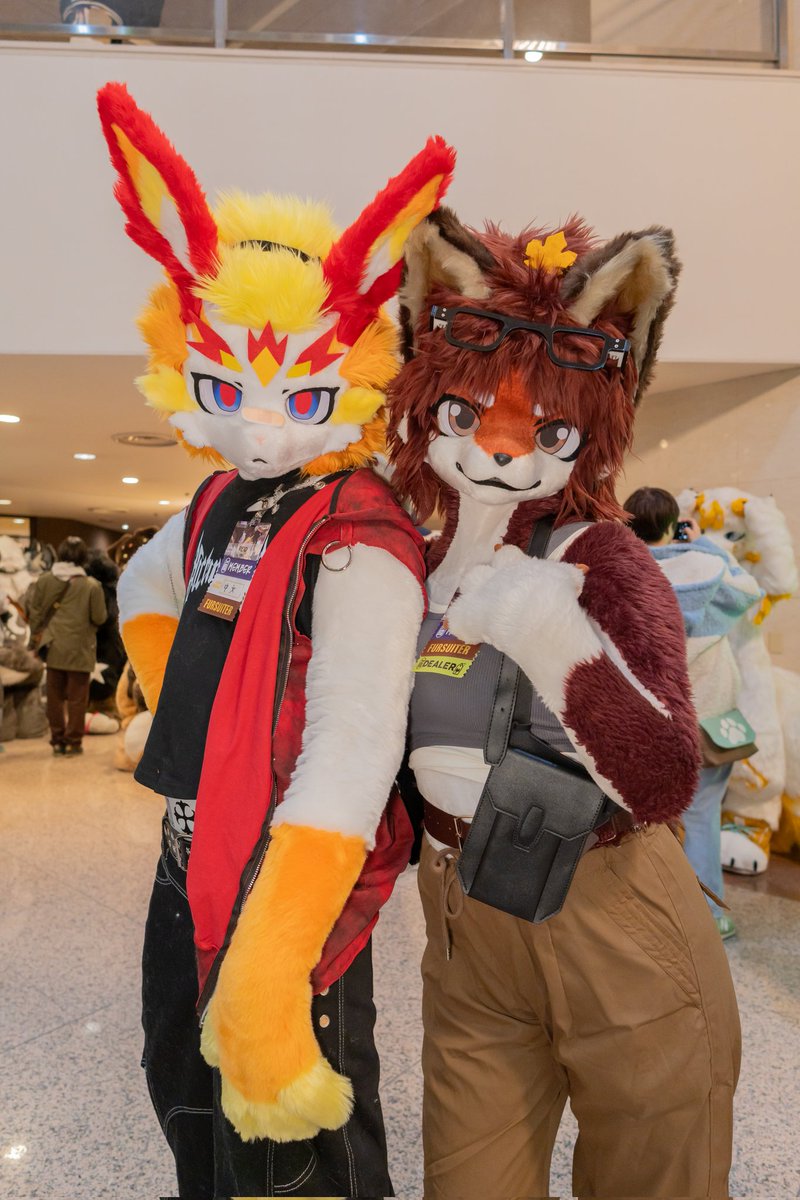 FLEET(ねこのすがた) tweet media