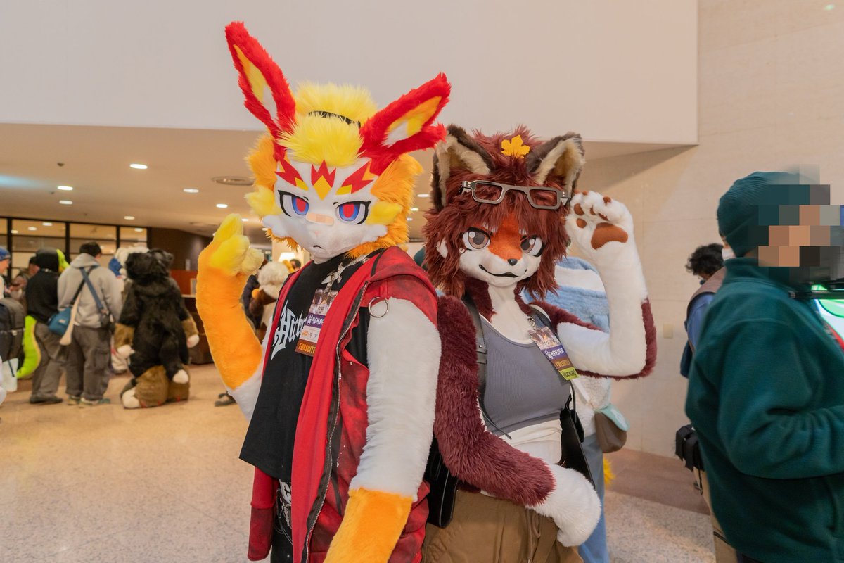 FLEET(ねこのすがた) tweet media