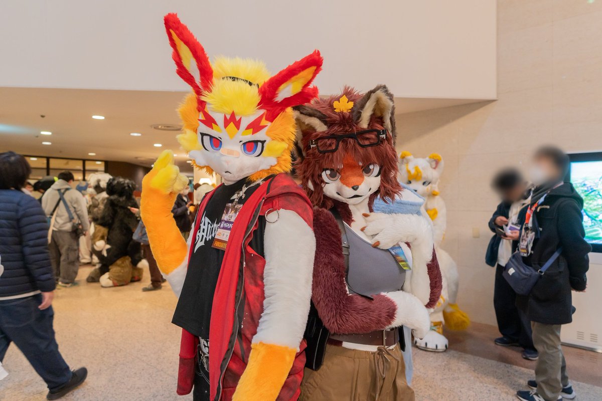 FLEET(ねこのすがた) tweet media