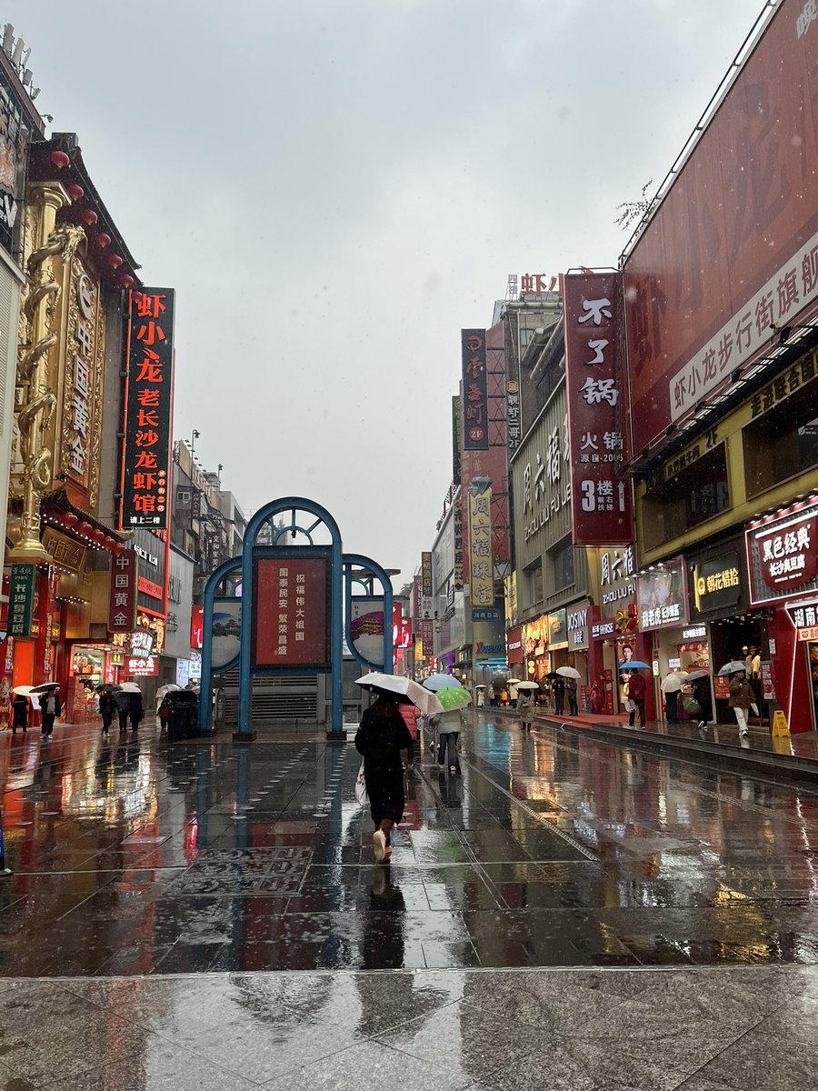 Panda🇨🇳中国駐在 tweet media