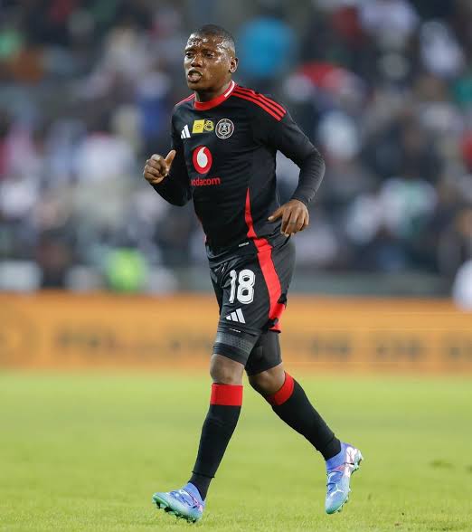 Constitution First 🇿🇦 tweet media