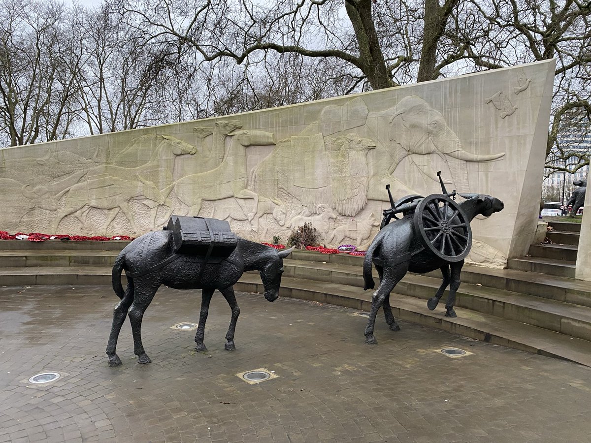 Duncan Brown tweet media