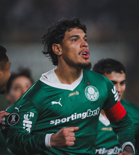 palmeirazone's tweet image. Esse ANIMAL não pode ser normalizado nunca.

Gustavo Gómez é o MAIOR zagueiro da história do Palmeiras.

Herói de uma geração.