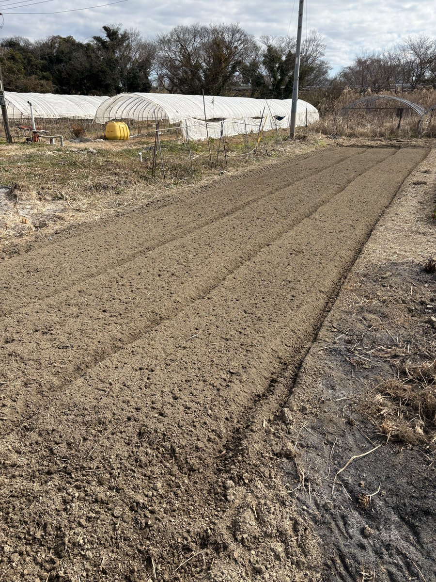 OpKumamoto's tweet photo. 今年は農業に挑戦しようと考えております。兼業で農家をしている職員の指導の元、じゃがいも作りに挑戦です

#種芋
#農福連携 https://t.co/j6FCMQFnVm
