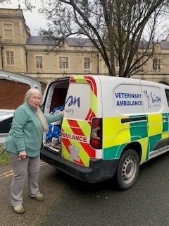 Drama at Snaresbrook as a swan gets stuck on the court roof. Fire brigade have rescued and lovely ladies from <a href="/Swan_Sanctuary/">The Swan Sanctuary</a> are taking her for a check up and to return to the lake.