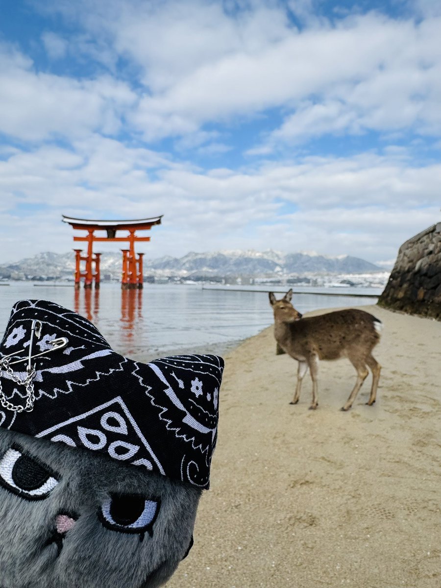 テップンと鹿🦌もかわいいから見て❣️