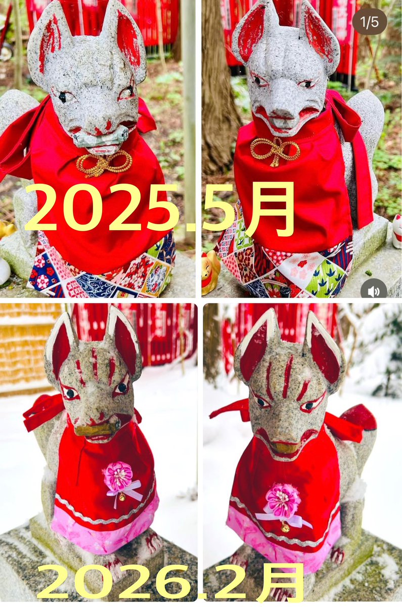 去年の狛狐さんと比べたら 前掛け掛けだけじゃなく お顔もイケ狐になっ