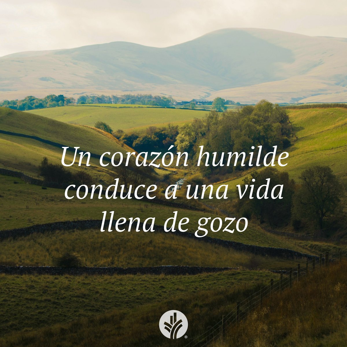 Nuestro Pan Diario tweet media