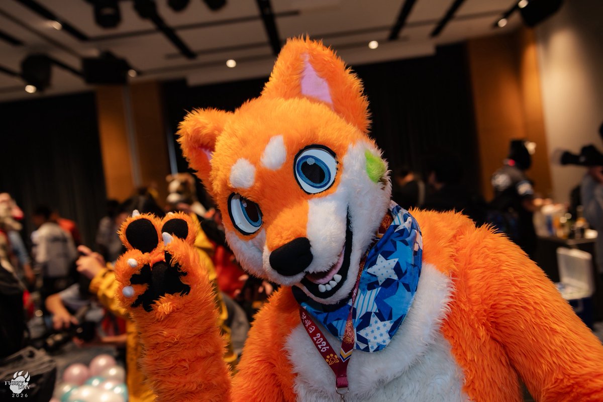 CT the Wolf➡️UTFG tweet media