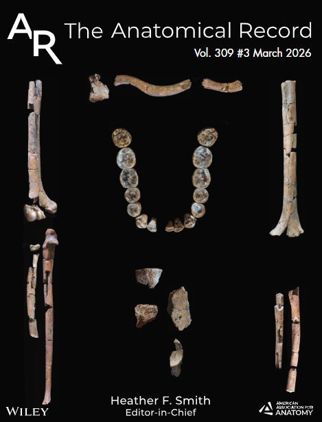 The Anatomical Record tweet media