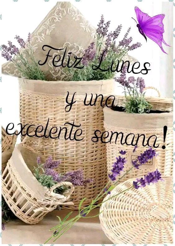 NaranjoMay68986's tweet photo. @Alba_lor Buenos dΓas mΓ querida Mabel!! Bonito lunes y feliz semana preciosa!!πππππππππππ#APOYOROCIO https://t.co/hS3Ksw8Ml5
