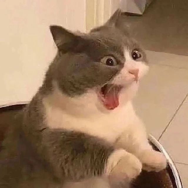 justmeowthings's tweet photo. 私も欲しい https://t.co/SODkT8kDts