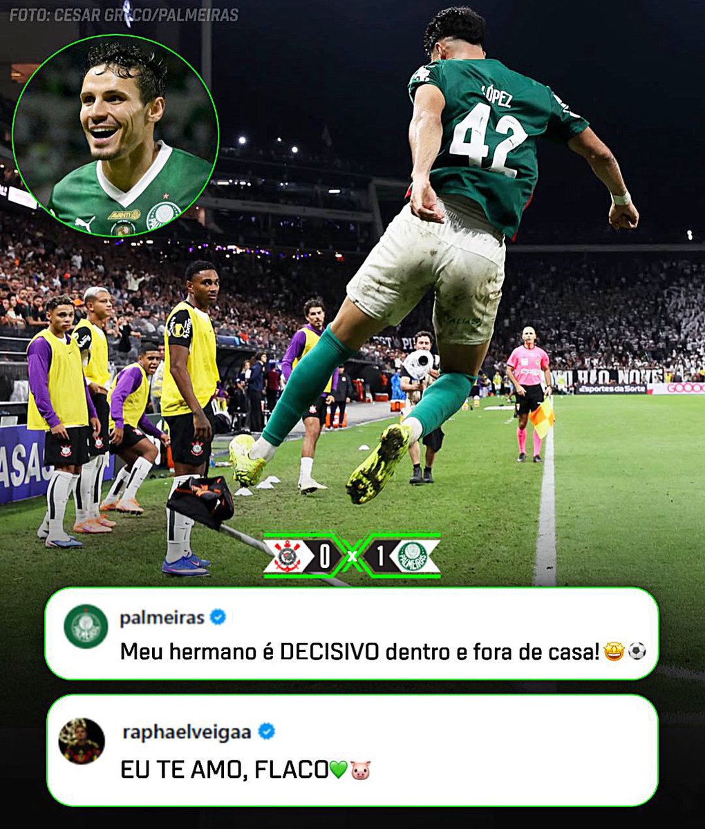Palmeiras da Depressão tweet media