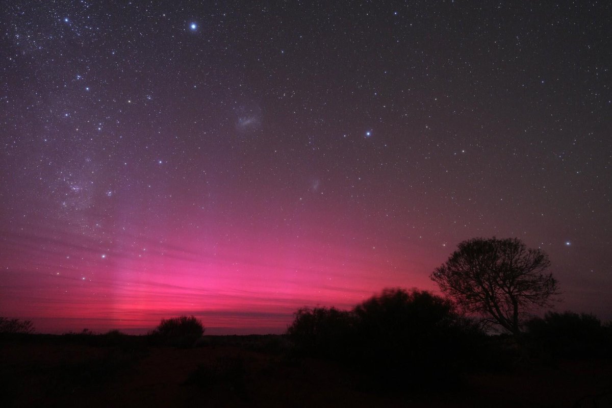 天リフ編集部 (@tenmonReflexion) / Posts / X