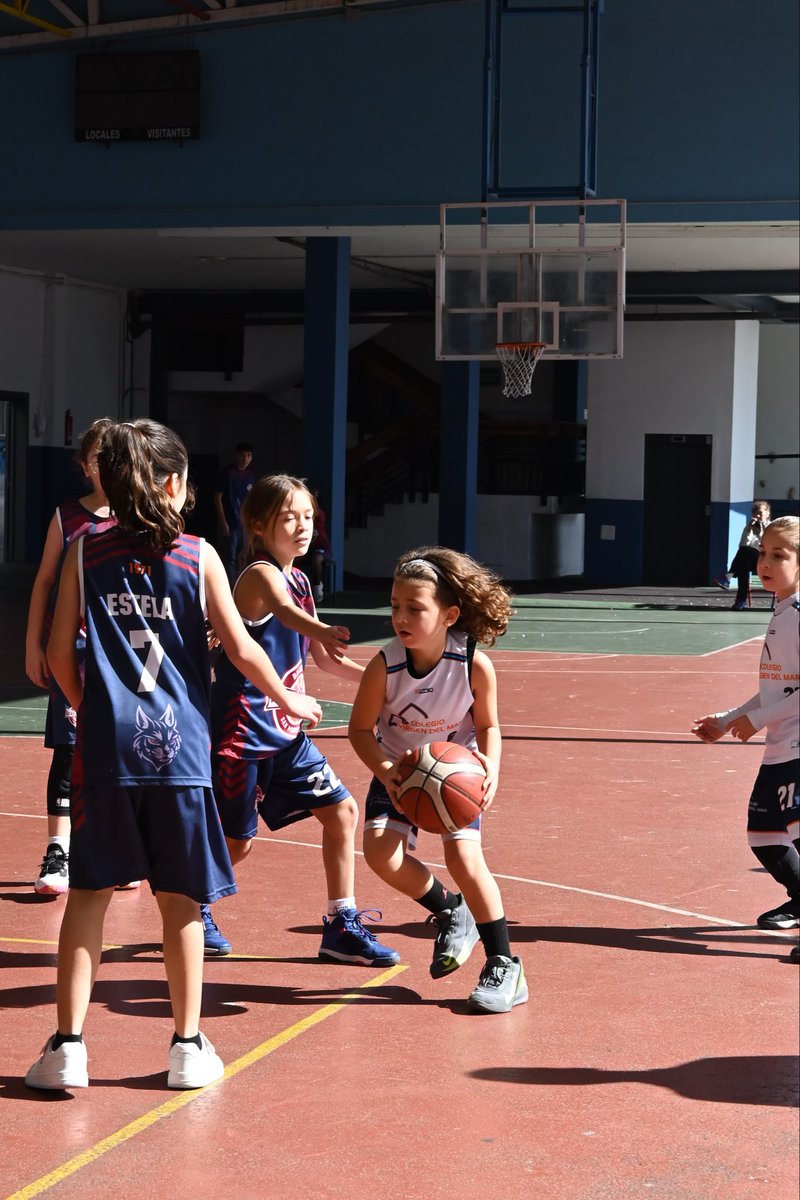 Club Santo Domingo Tenerife tweet media