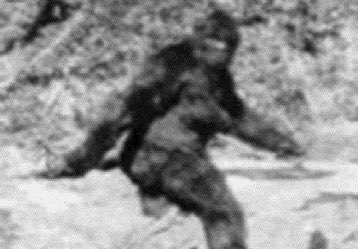 Kijken hoelang de YETI het volhoudt...