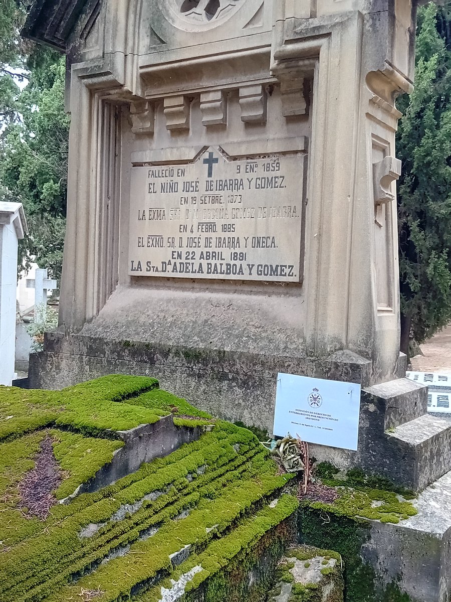 alex jabonero vegeta tweet media