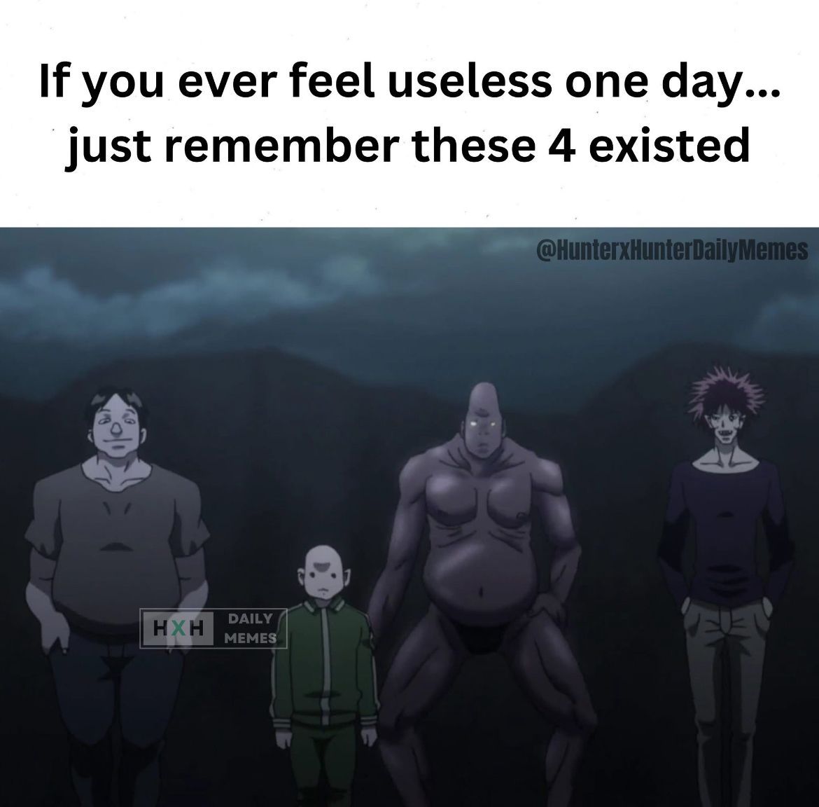 Hunter x Hunter Perfect Shots tweet media