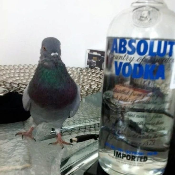 Memes para Jovens CLT's (@malditosmeme) on Twitter photo 