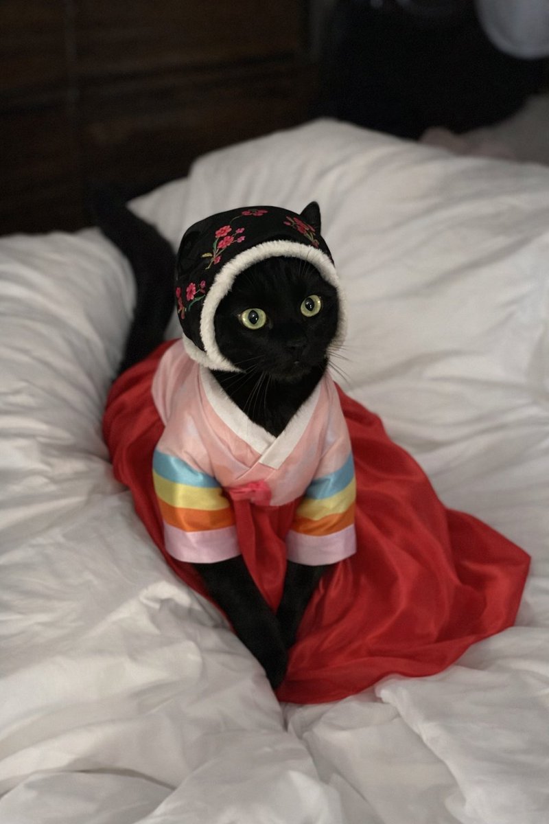 미카!!! 아아 너무 귀여워 내새키ㅜㅜ