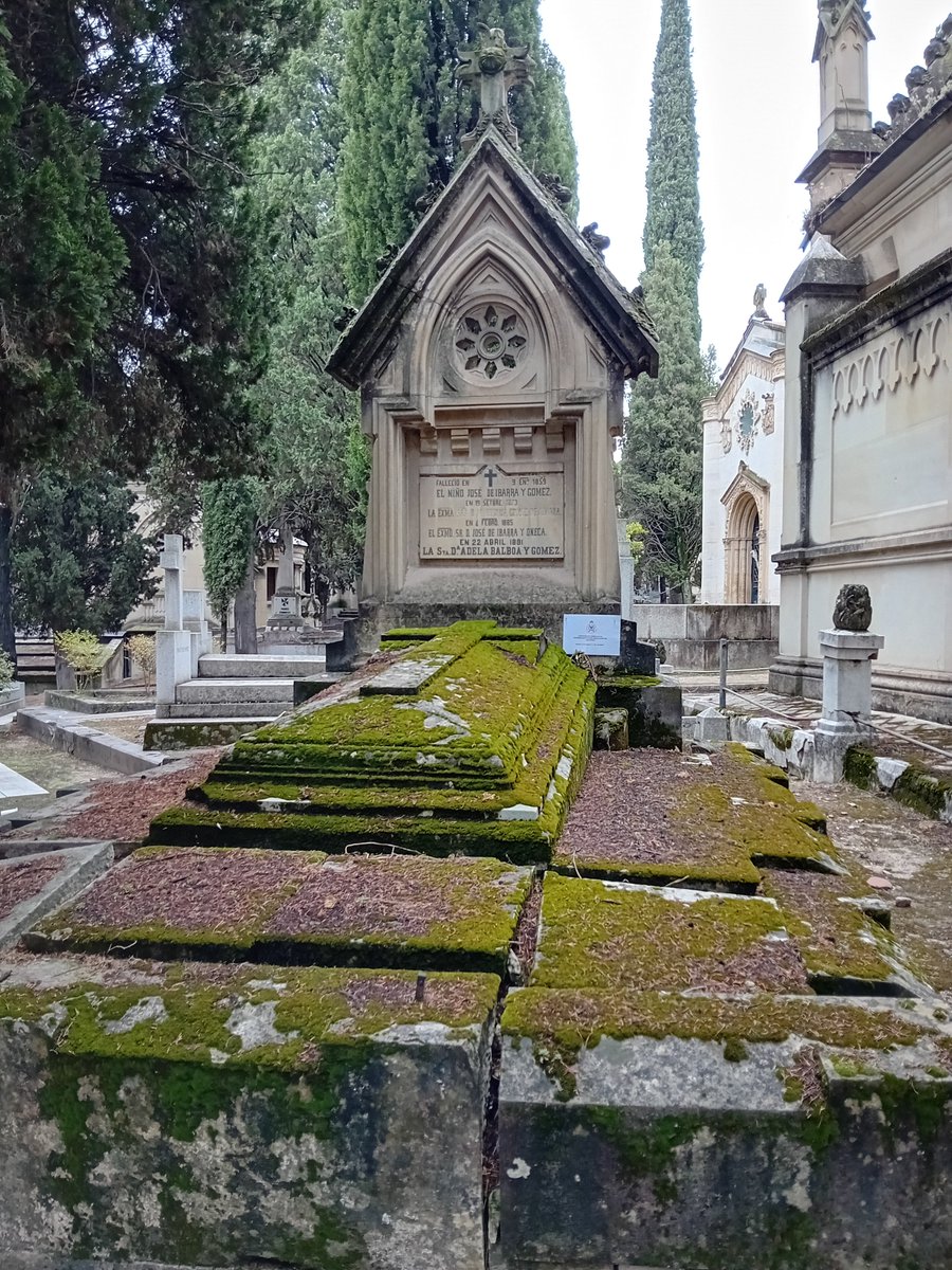 alex jabonero vegeta tweet media