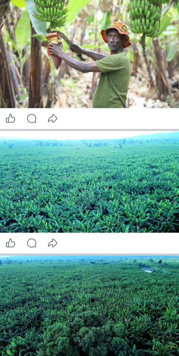 Nati51850's tweet photo. @EritreanPress ኢትዮጵያ ማለት ይሄው ።  ስለ ኤርትራ እና ስለ ኤርትራውያን ንገረን ???????? https://t.co/QeZ1UVEFAA