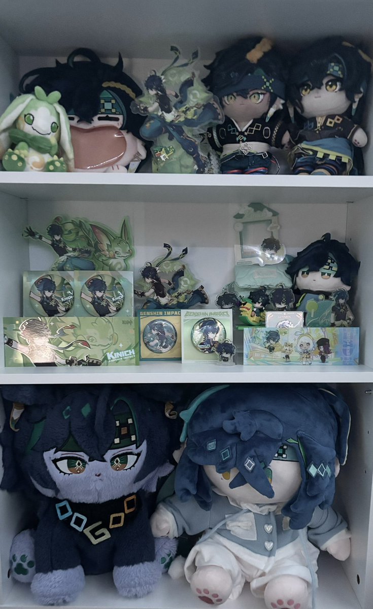 my shelf is slowly coming together 🥹🥹