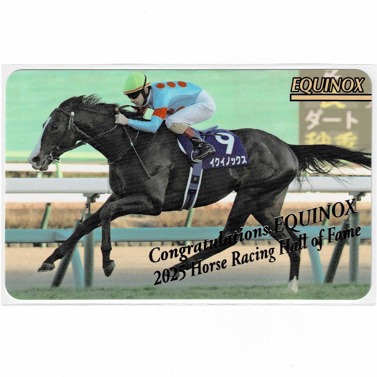 鬣 (@Purple_Mane) / Posts / X