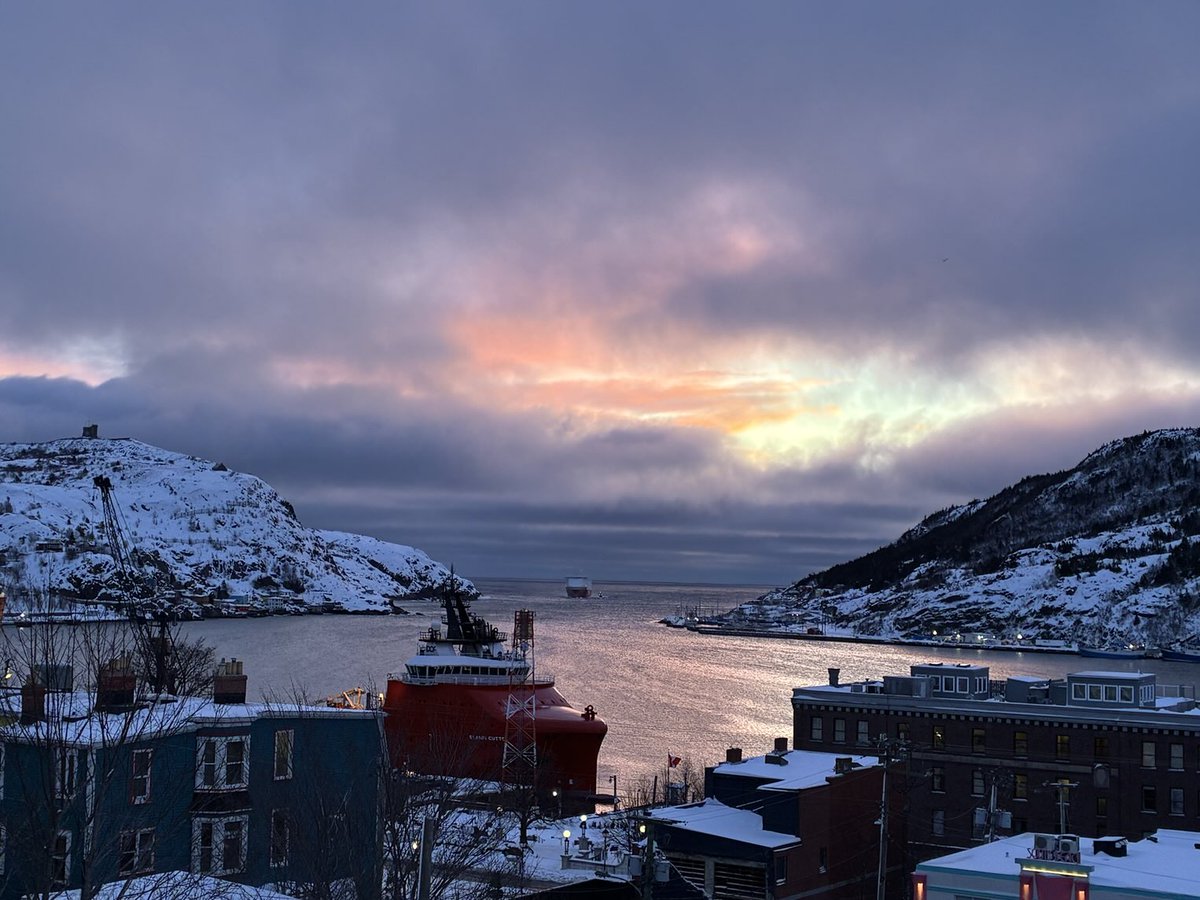 Francesca Swann tweet media