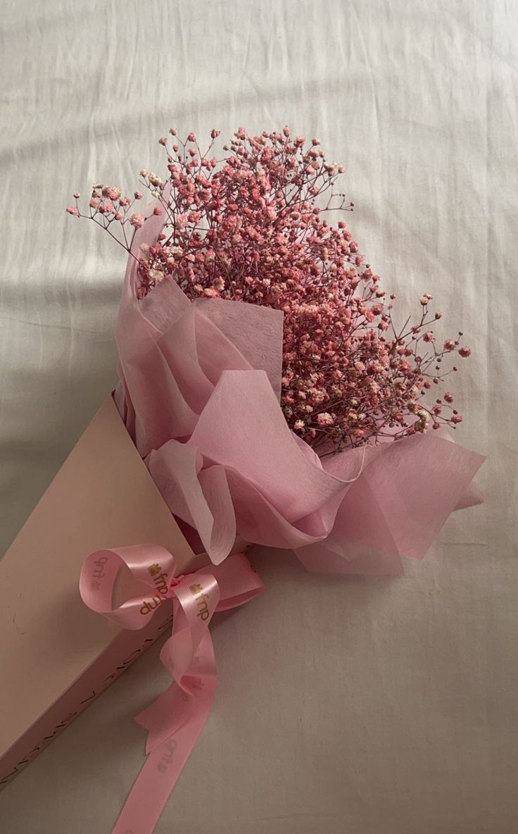 <a href="/raitfh/">뜨거운 이슈와 아이콘 공주 .. 𝗘𝘃𝗲 | 🐈</a> ‿‿‿‿‿‿‿‿‿‿      ..     ⊱  ۫   ׅ   ❁  
Attenshuuun..!  Your   favorite  angel,
Ziel    carries    more   than   blooms!
Here are your little Petal Écrin.  Enjoy 
our love!
❤︎  .. From : Elias
❤︎  .. To : @Jaxterdominic

💌 : Be happy!