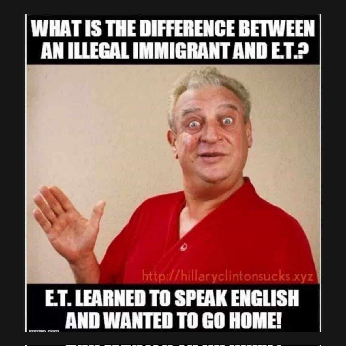 DelkReese's tweet image. 👇👇👇👇👇👇
#iceagent