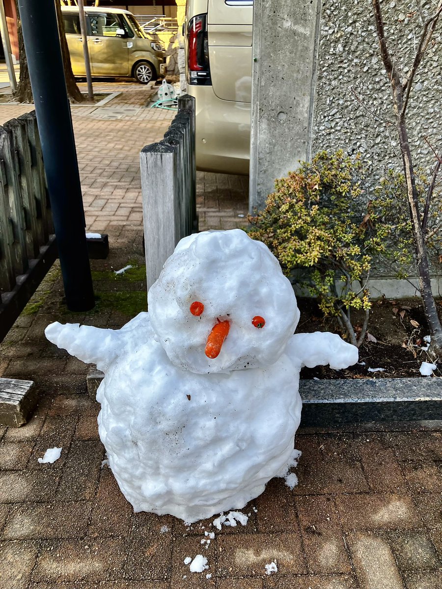 lonestarqueen's tweet photo. Japanese snowmen are typically made of two balls. ⛄️ 
We had a big snowfall yesterday. ❄️ 
I got food poisoning from mushrooms 🍄‍🟫 and was in bed all day anyway. https://t.co/f9LqdkMxrG