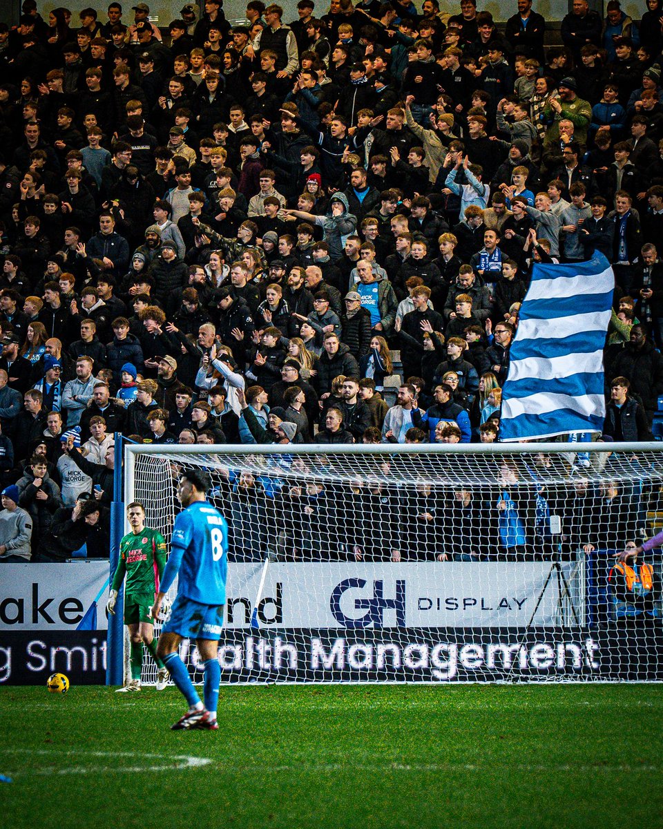 Blue Section tweet media