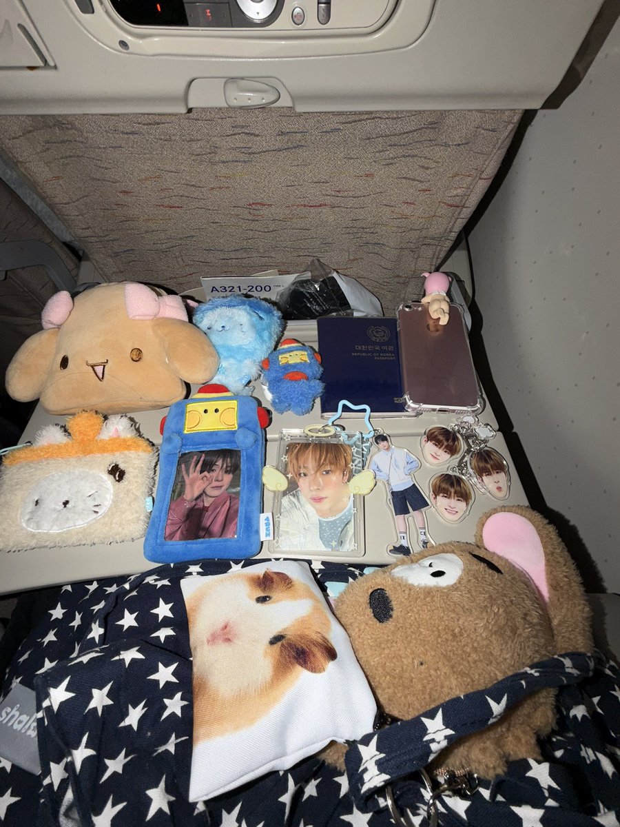 비행기타면 예절샷 찍어줘야겟지
