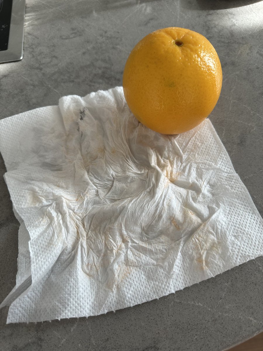 LolloRosso&Frissee tweet media