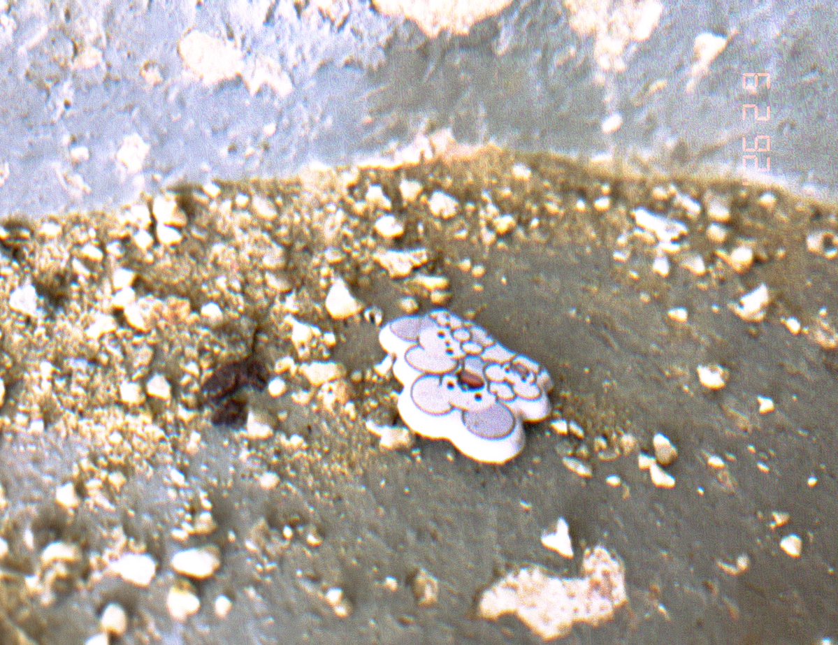 今日の忘れ物たち⑦