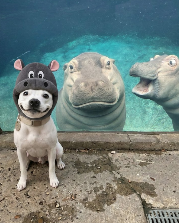 Best selfie ever 🐾😊🥰