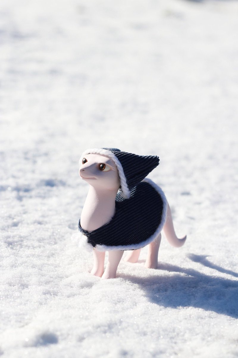 HORIMOTO_T's tweet image. 激動の時代にあっても変わらず雪は降る。
最近は気温差も世の中の動きも激しいので、みなさまどうかご自愛ください。