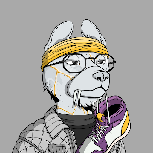 -Do bears follow dogs?🐻

-Do dogs follow bears?🐶