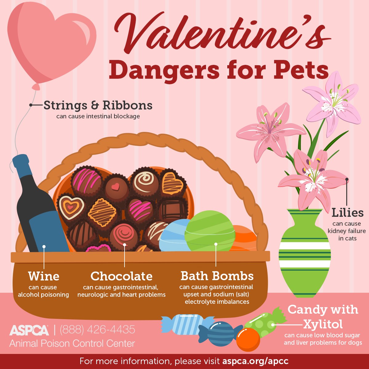 Valentine's Day is coming! Please be mindful of items hazardous to pets as you plan your celebration. 💖 Be especially careful if you're sending or if you receive a floral bouquet; lilies are highly toxic to cats! 🚫🌺 Please carefully pick them out or avoid them altogether. 💐🐈