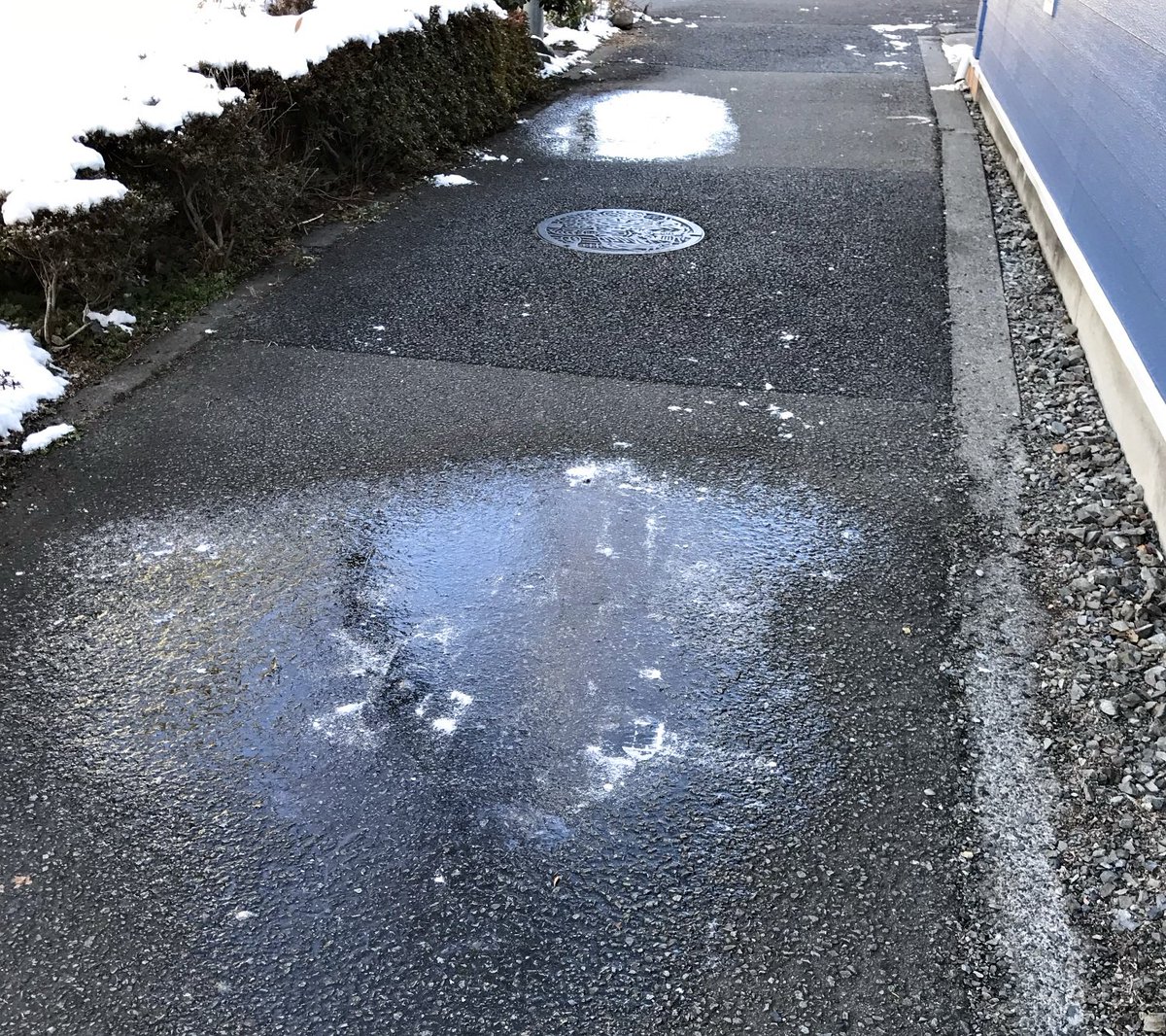 今日は通院日だった。
昨日までの雪で日陰に残った雪がツルツルになっているだろうと思うと怖かったんだけど、意外とどこも雪かきしてあるのと溶けたのとで危ない所はなかったな。

一番積もったときは10cmぐらいはあったけど、なくなるのも早かった。でも今日は超寒かった。